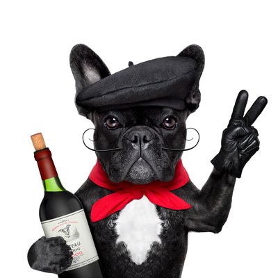 Komplexes Bukett und Ausgewogen, dass sind die Rotweine aus dem Medoc und Haut Medoc.